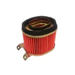 Filtro de Aire Kymco Agility 125 Twist