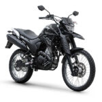 Yamaha XTZ250 ABS - Image 6