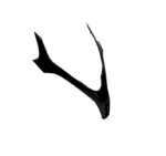 Embellecedor Frontal Kymco Downtown 350i ABS TCS